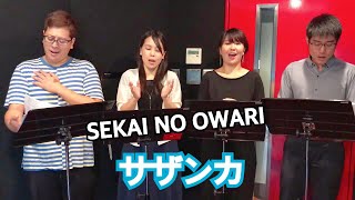 サザンカ