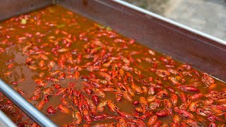 1000 POUNDS OF PLATINUM CRAWFISH🔥😱🦞(1ST ANNUAL BOIL MASTER CRAWFISH COOKOFF)