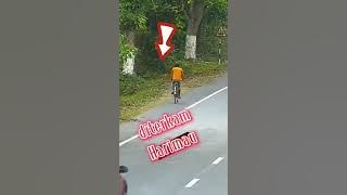 Diterkam Harimau