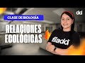 Relaciones entre los Seres Vivos: Tipos, Ejemplos y Explicación Fácil