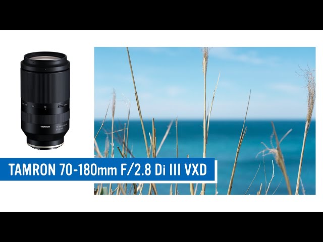 望遠ズームのスナップ楽しい / TAMRON 70-180mm F2.8 Di III VXD 作例