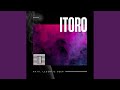 IToro IToro