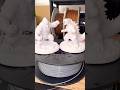 Líbí se vám takové modely King-Kong a Godzila?😊 #3d #3dprinting #3dprint #cz #czech #3dprinted