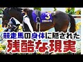 【競馬】なぜ最強の馬ほど突然消えるのか。競走馬の身体に隠された残酷な現実