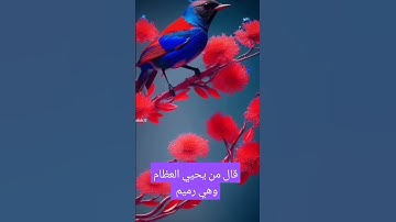 سورة يس ،، قال من يحيي العظام وهي رميم ،،