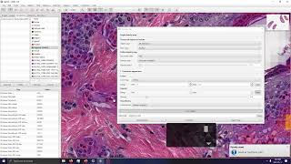 Touching mitotic cell classification