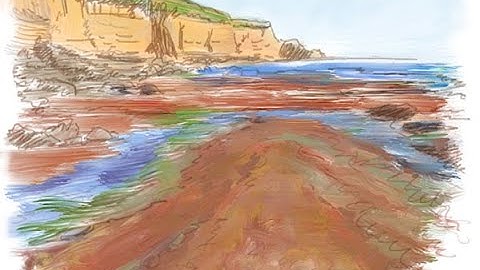 Managing Panels and Palettes in Painter for Essentials users