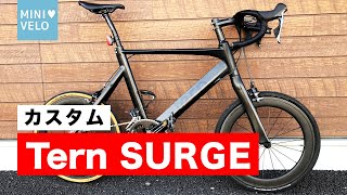 ミニベロTern SURGEカスタム！愛車紹介