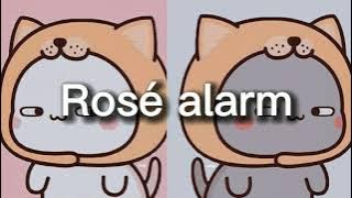 Blackpink Rosé Alarm (wake up pleasee)