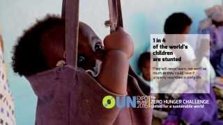 Posters of the elements of "The Zero Hunger Challenge. United for a sustainable world" (EN)