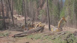 Idaho Logging - Bogie Grapple Skidder - Tigercat 635H