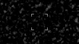 Exploiters begging the white