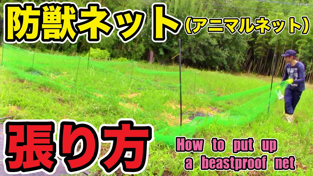 防獣ネット（アニマルネット）を張って獣対策してみた！ How to put up 