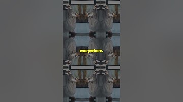 Chinese Researchers Break RSA Encryption with Quantum Computer