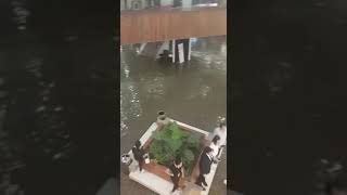 Inundación en plaza patria en Guadalajara