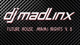 DJ Mad Linx Future House V 5 YouTube