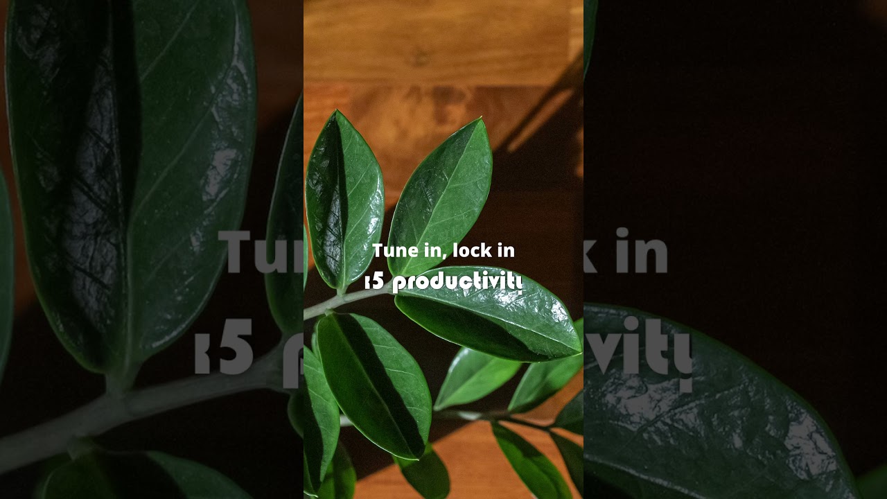 The #1 Calm Music Playlist for 2025 - Expertly Curated for PRODUCTIVITY