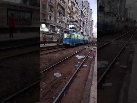 من تصوير المتابعين ج٨١