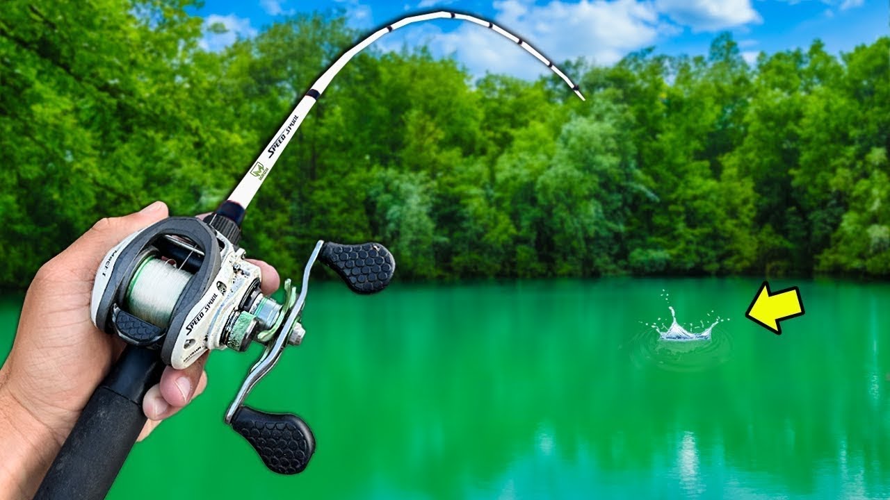 1v1 Pond Bass Fishing Challenge!!