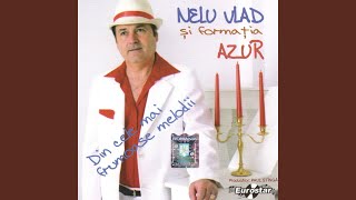 Video thumbnail of "Nelu Vlad - Canta nomazii"