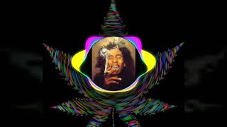 XMAN_NDUGAL || WE DON'T CARE || Versi REAGE BOB MARLEY (by ROBIN DUFANDER)