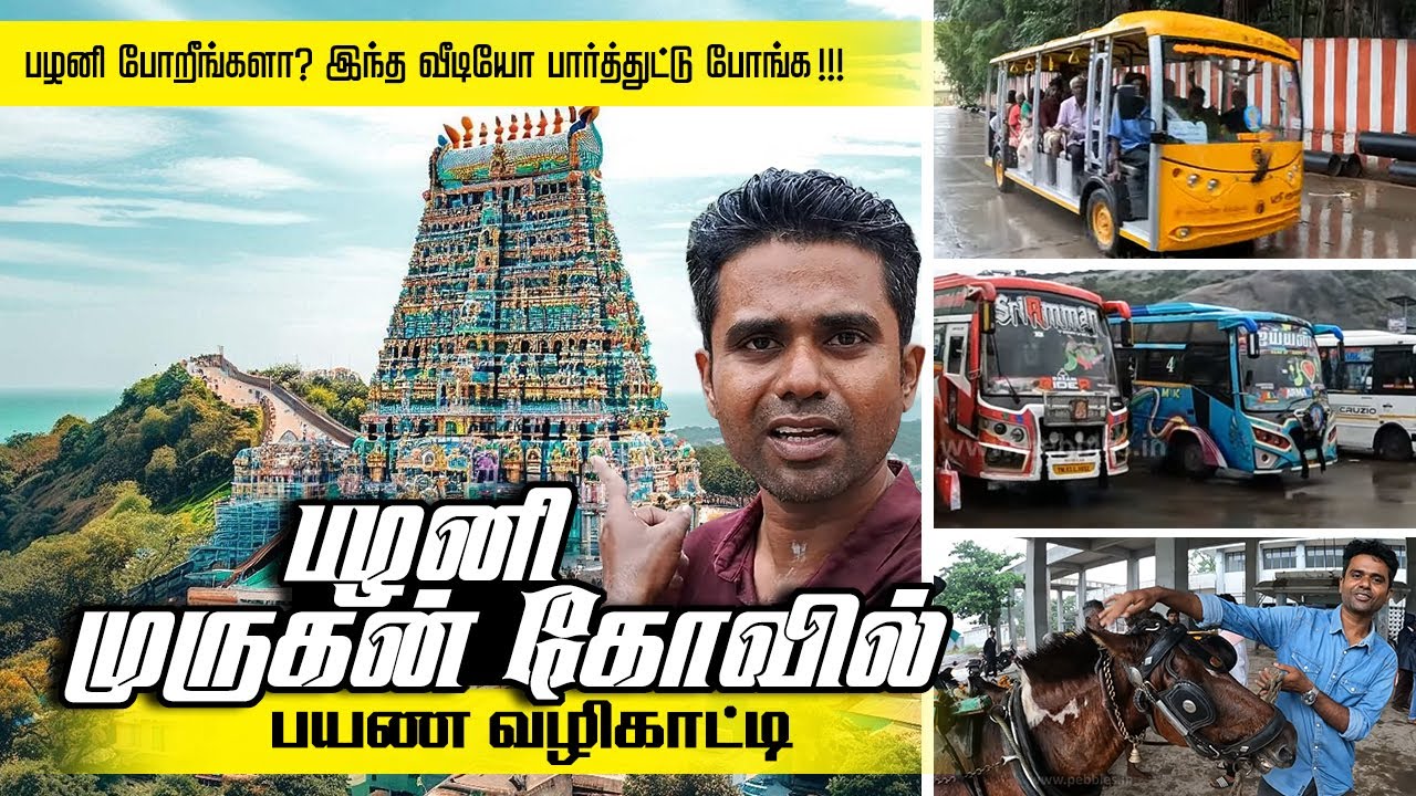 பழனி முருகன் கோவில் வழிகாட்டி Palani Murugan Rope Car, Winch, Room, Parking, Palani Guide Vazhikatti