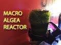 10 Gallon Nano Reef Tank | Chaeto/Algae Reactor | Kessil A80