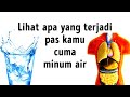 Efek Apa Aja yang Akan Kamu Rasakan kalau Kamu Cuma Minum Air Putih?