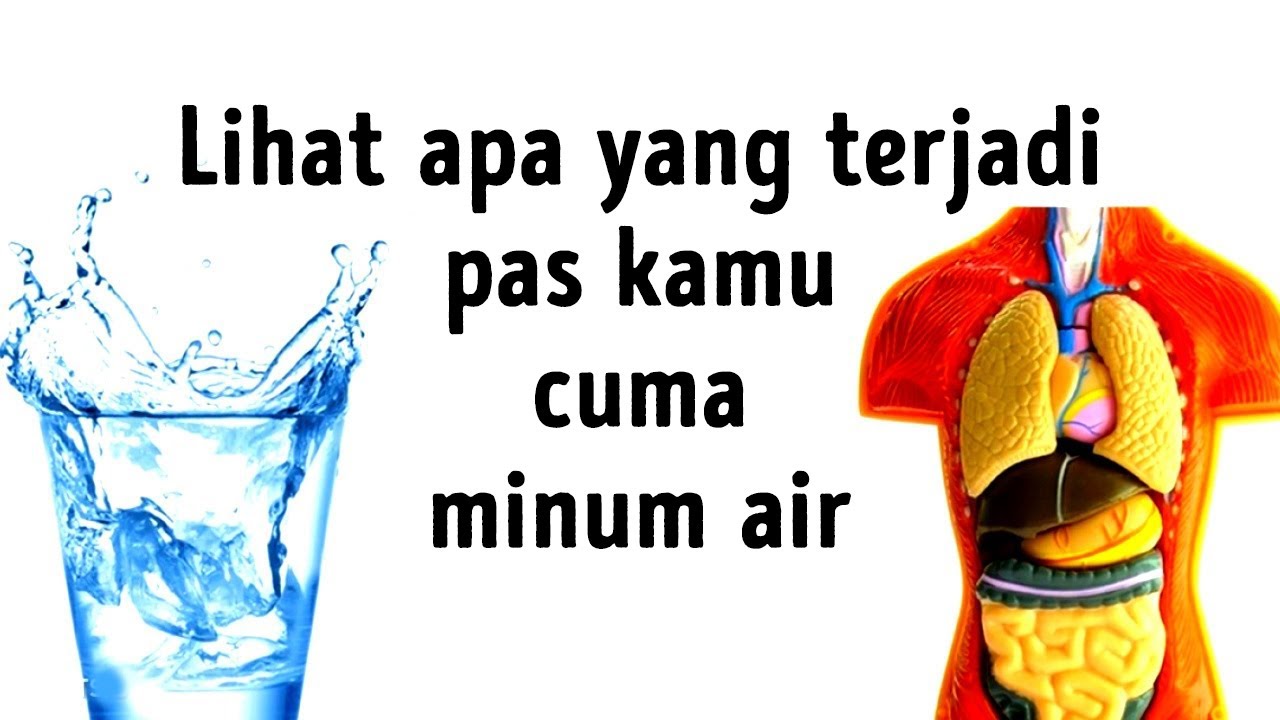 Efek Apa Aja yang Akan Kamu Rasakan kalau Kamu Cuma Minum Air Putih?