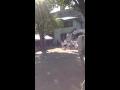 Sachi S Undokai 9 28 13 Sachi S Undokai 9 28 13