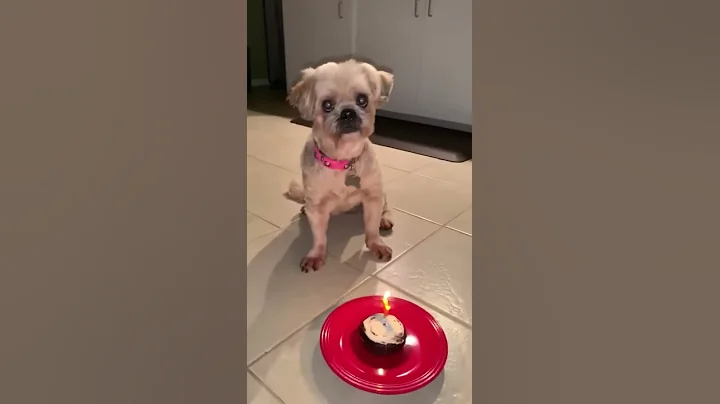 Maya's 14th Birthday