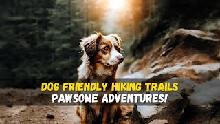 Dog Friendly Hiking Trails - 🐕🚶‍♂️