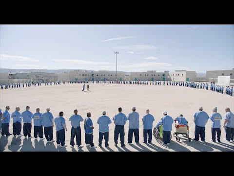 Vídeo: Com Canviar El Cercle Social