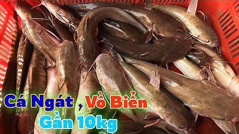 Chuyến Câu Giăng May Mắn Trúng Cả Bầy Cá Ngát vs Vồ Biển | Gia Đình Cần Giờ .121|