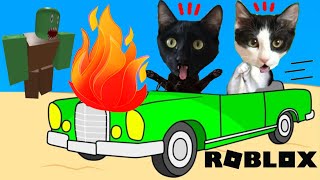 TUVIMOS UN VIAJE LARGO EN ROBLOX con Luna y Estrella jugando a Roblox DUSTY TRIP by Videos divertidos de gatos Luna y Estrella 13,830 views 14 hours ago 24 minutes