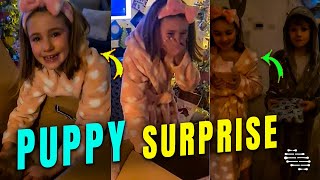 Surprise Puppy Gift Brings 8-Year-Old Girl to Tears