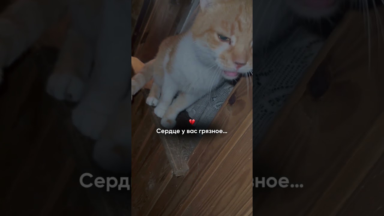 2 февраля 2026 г.