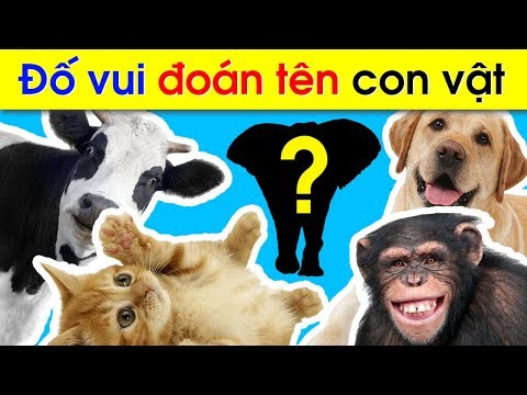 Video Câu ĐỐ VUI CHO BÉ về con vật - Đố vui giáo dục cho TRẺ... - youtube