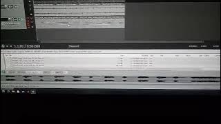 KSHMR_Indian_Vocal_Loop_08_125_Dm