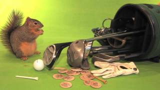 Gracie Outtakes (Even Squirrels Need A Second Chance!)