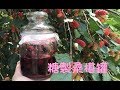 【 A-ding的廚房 】糖醃製的桑椹罐，女生多喝多補血。