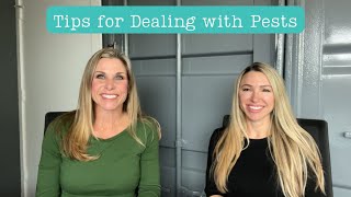 Tips for Dealing with Pests The Woodlands TX