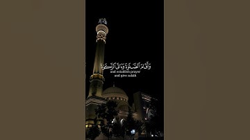 إِنَّمَا يَعْمُرُ مَسَاجِدَ اللَّهِ | #quran #قرآن #تلاوة #احمد_النفيس #تلاوات_خاشعة #سورة_التوبة