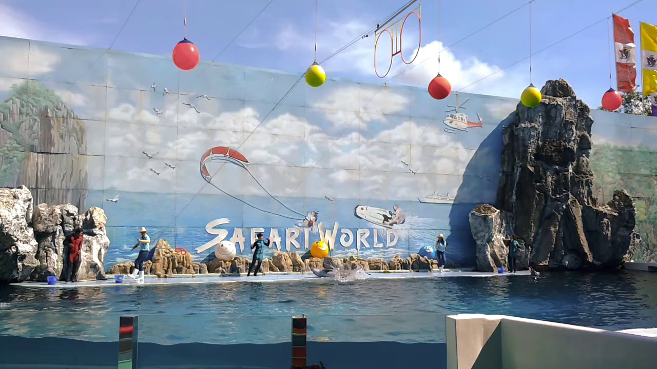 Accident in Dolphin show - Safari World, Bangkok, Thailand