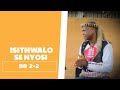 Isithwalo Se Nyosi - Dr 2 2