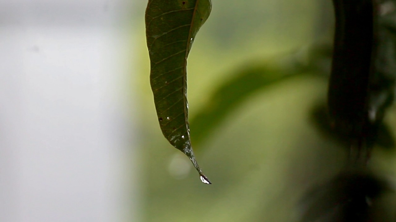 A full water drop.. YouTube