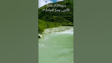 سورة قريش بصوت ماهر المعيقلي تلاوة خاشعة تهزّ المشاعر 🕋📖