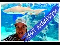 🇬🇷Крит-Гид. Аквариум (Океанариум). Алёна Фортунаки/Sweet Crete