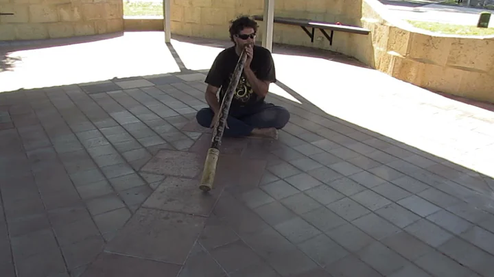 Wayne Dekker on Didgeridoo