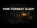 Cricket Sounds for Sleeping | Deep Sleep Nature Sounds | Pine Forest Night Sounds | Fall Asleep Fast